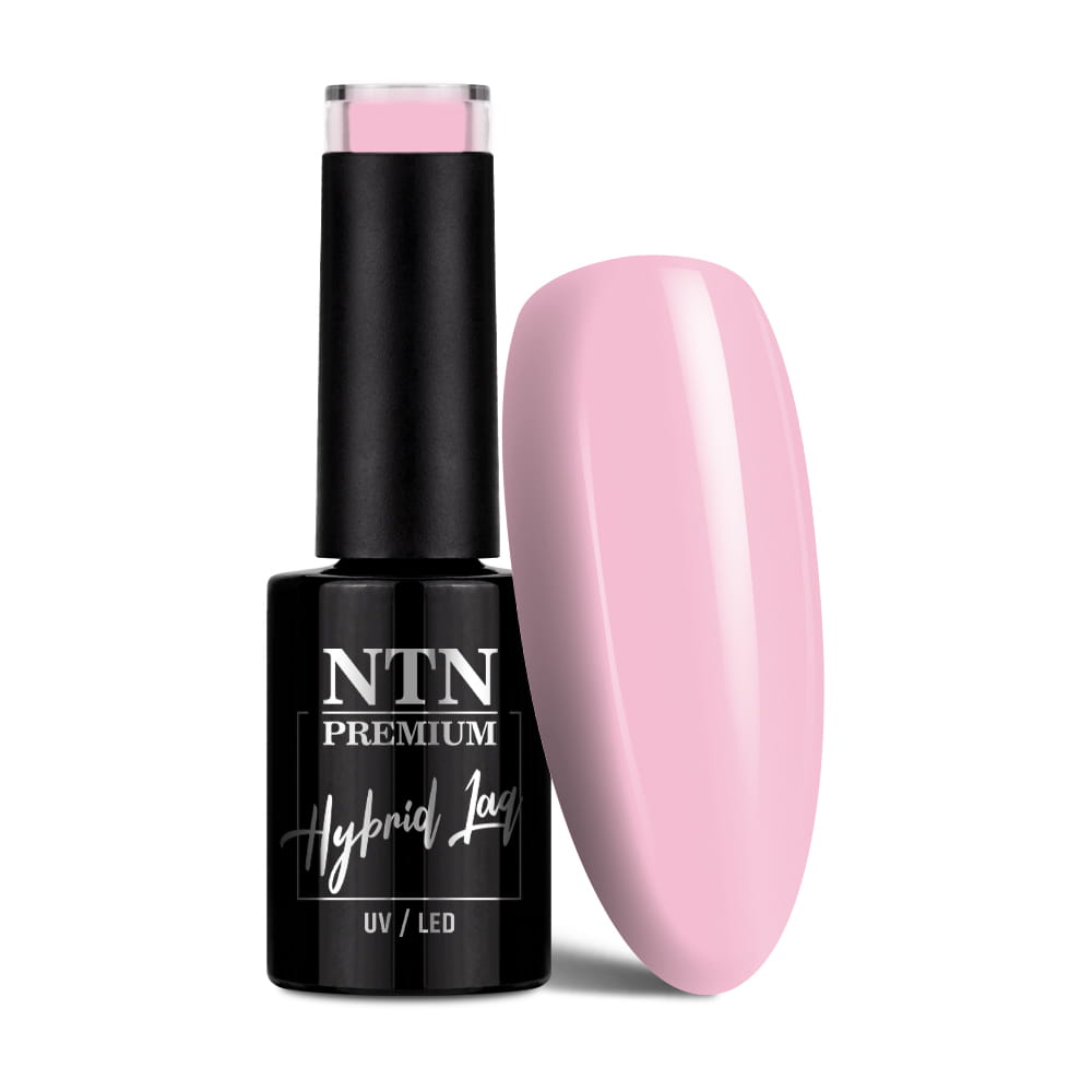 Lakier hybrydowy Ntn Premium Delight Sorbet Collection 5 g Nr 148