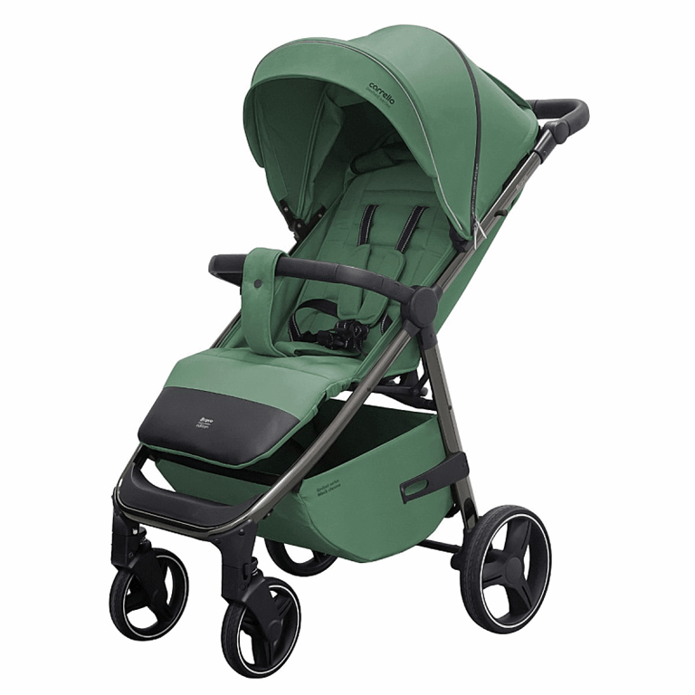 Carrello Bravo Plus - wózek spacerowy do 22 kg-Spring Green Black Chrome