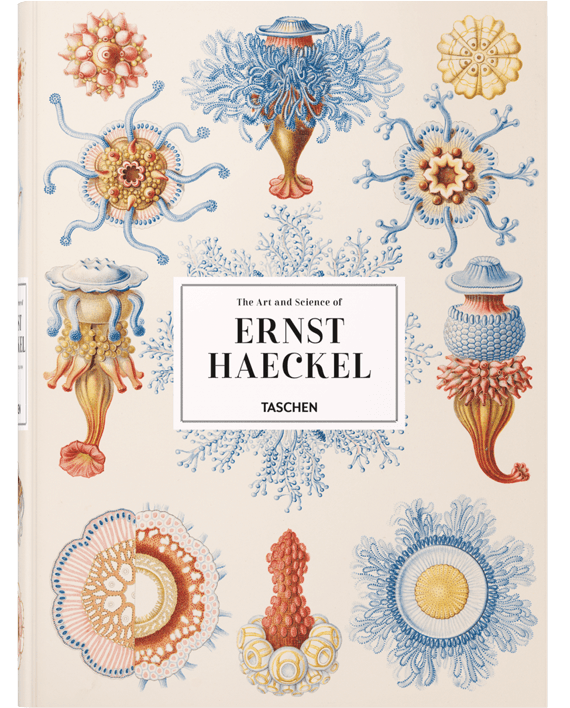 The Art and Science of Ernst Haeckel