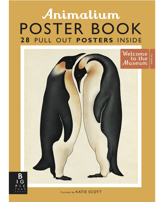 Animalium Poster Book