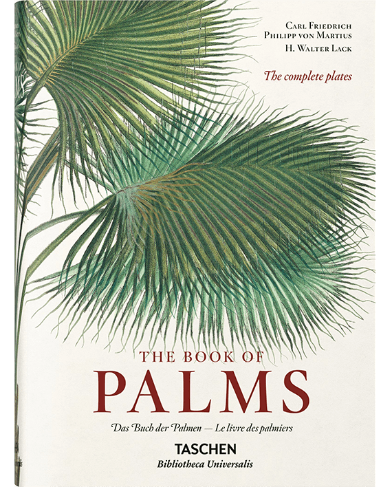 Martius. The Book of Palms