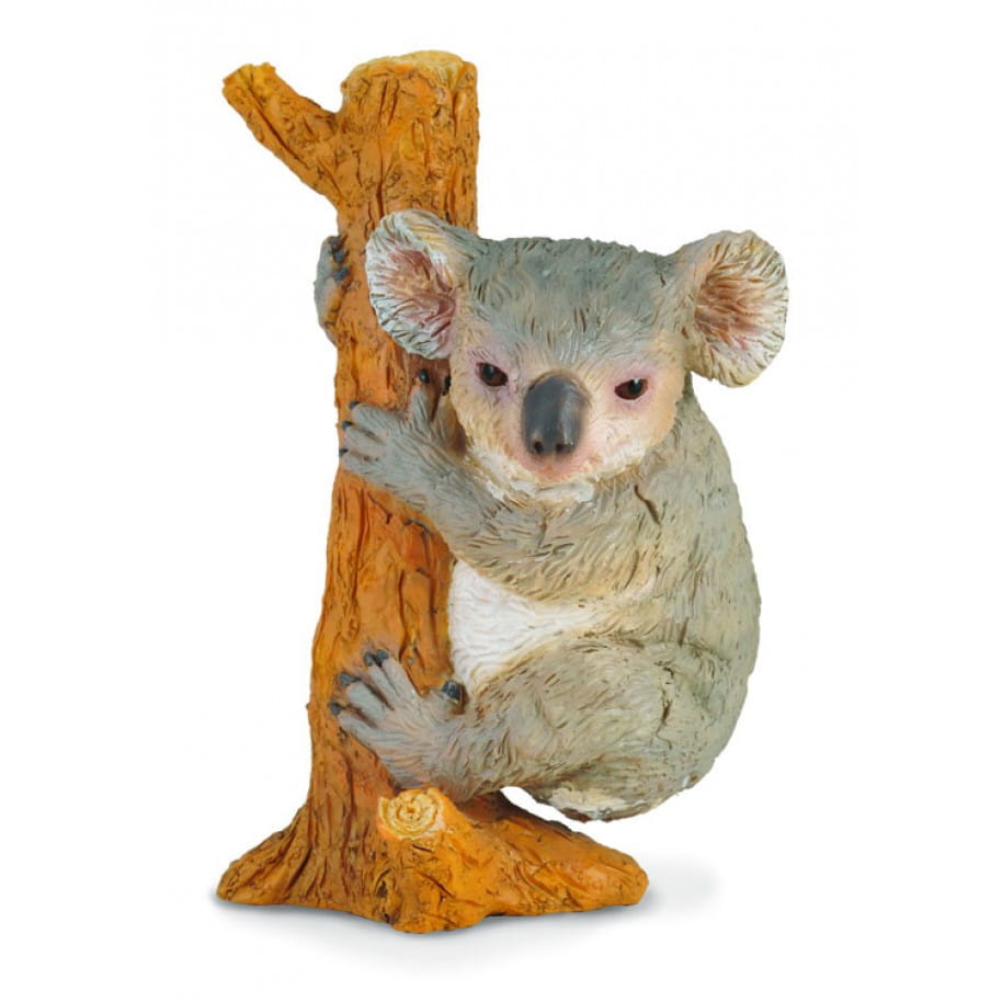 Koala WSPINAJĄCY SIĘ M Collecta