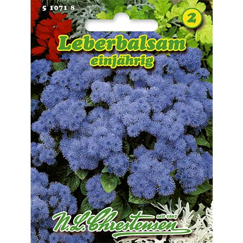 1 szt, Żeniszek meksykański (Ageratum) - Nasiona: Ilość w opakowaniu: 1 opak