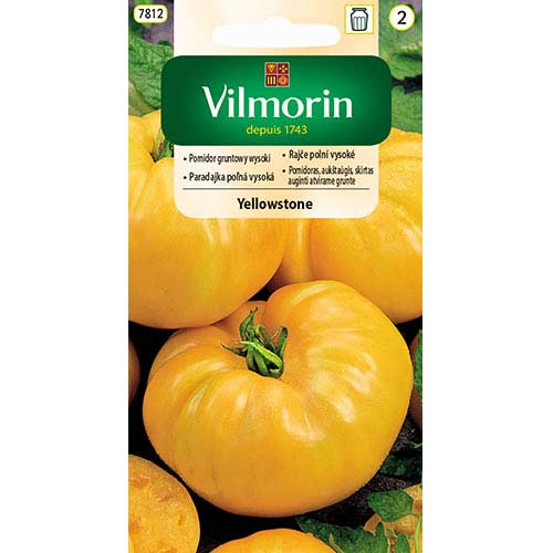 1 szt, Pomidor gruntowy wysoki Yellowstone Vilmorin - Nasiona: Ilość w opakowaniu: 0.2 g
