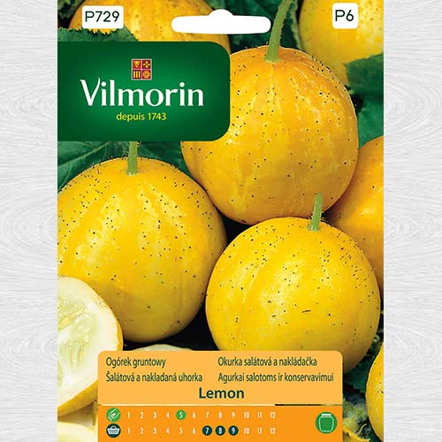 1 szt, Ogórek gruntowy Lemon - Nasiona: Ilość w opakowaniu: 1.5 g