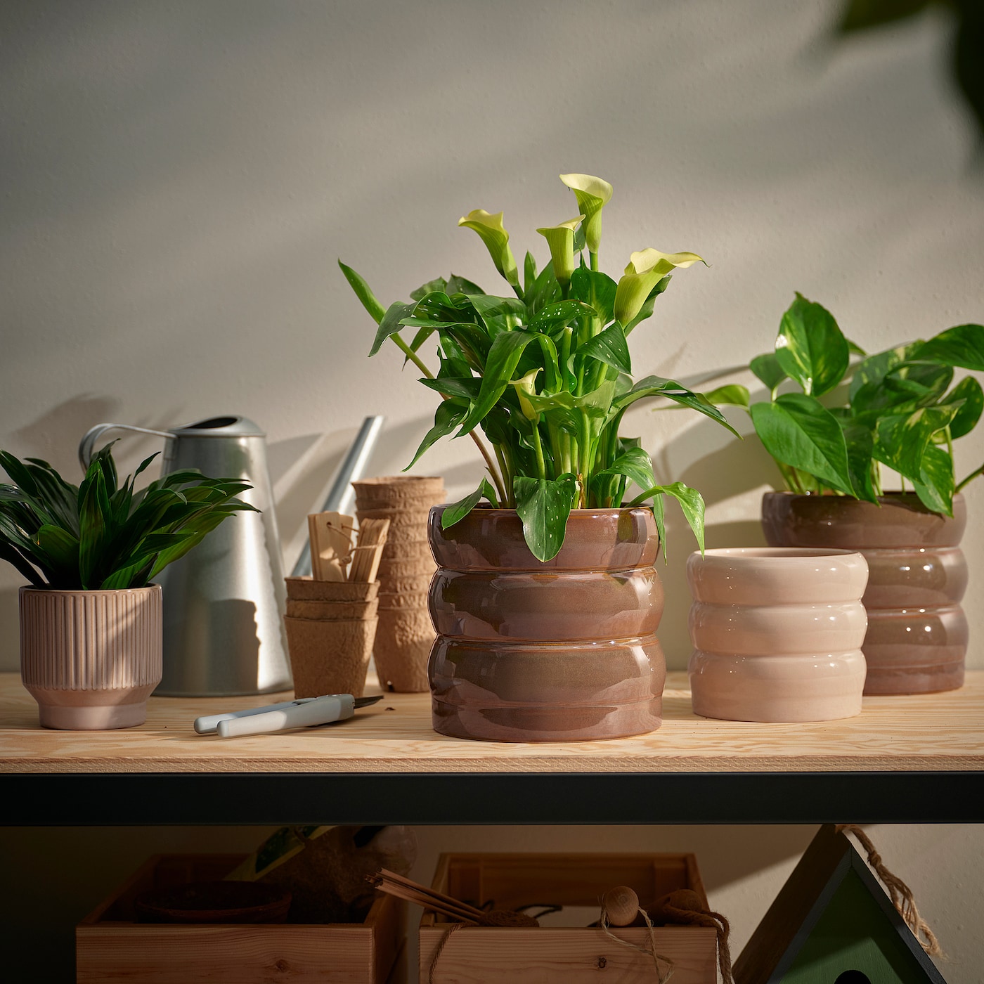 IKEA HASSELBUKETT Osłonka doniczki, do wewnątrz/na zewnątrz/beżowy, 12 cm