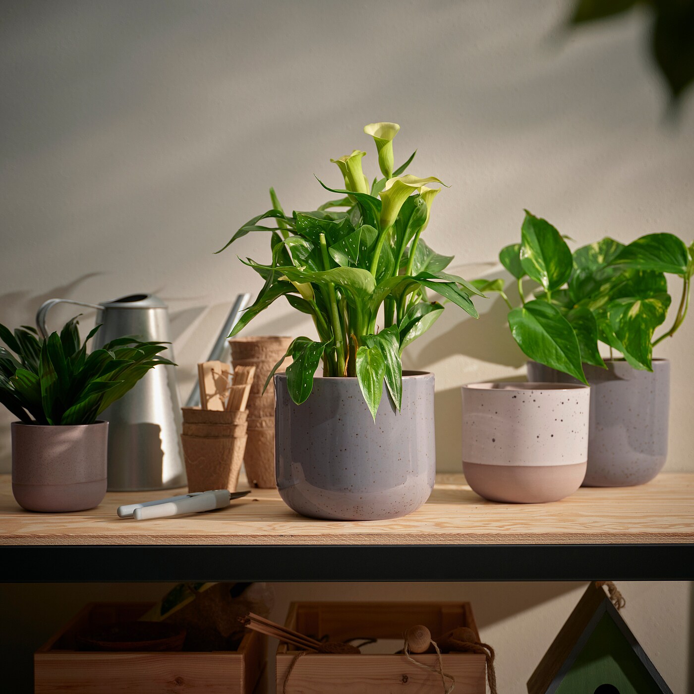 IKEA BUSKKAPRIFOL Osłonka doniczki, do wewnątrz/na zewnątrz/beżowy, 12 cm