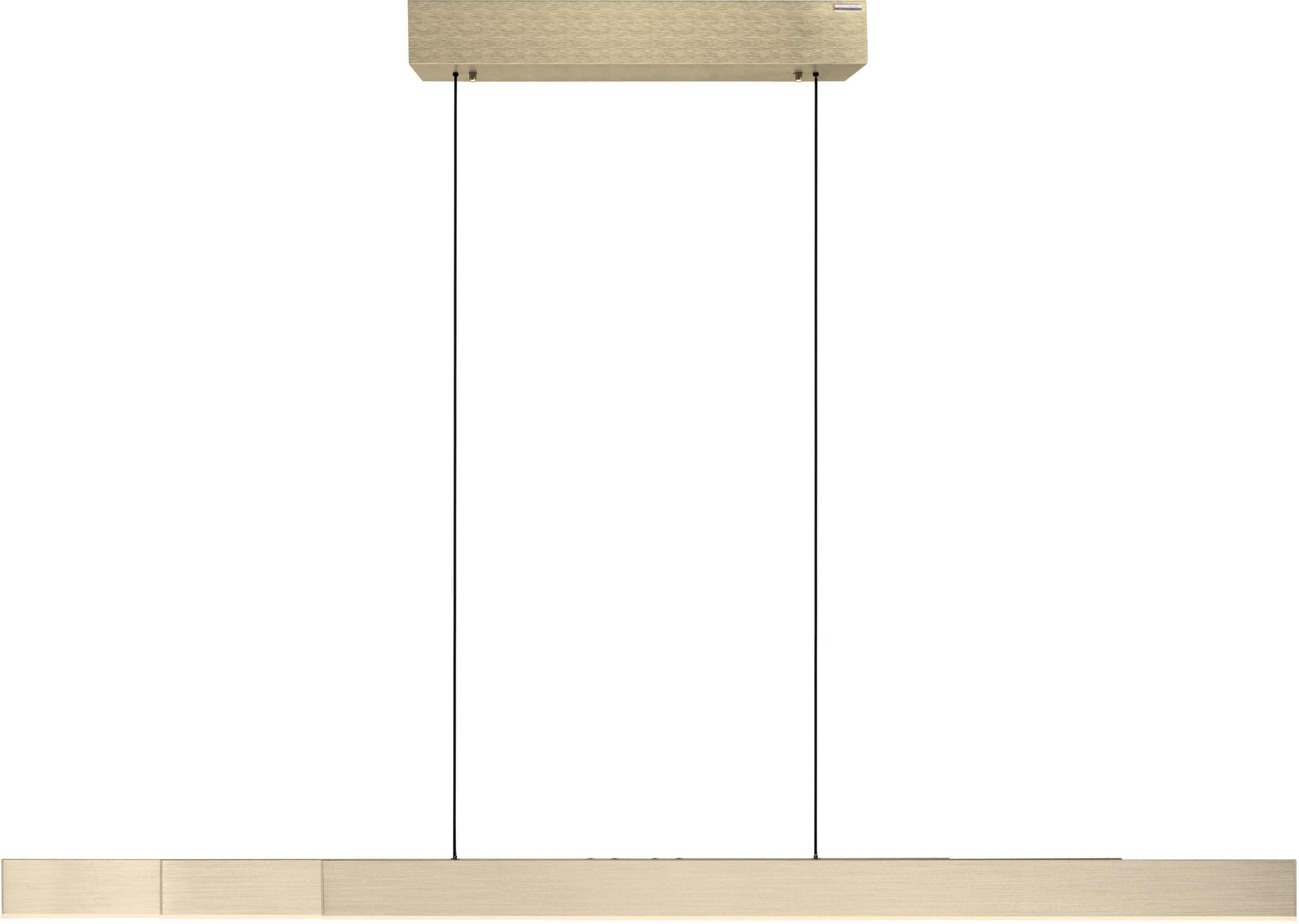 Darmowa Dostawa - Lampa wisząca 3x13 W szary/popielaty Paul Neuhaus Pure-Moto-Rise 254515