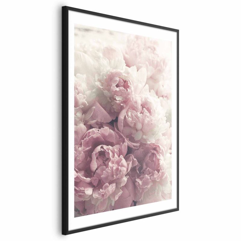 Plakat Artgeist Delikatne piwonie 40x60 cm z ramą czarną 1 szt