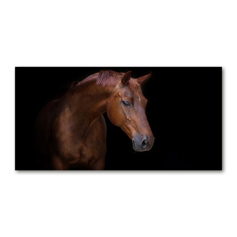Obraz canvas Tulup Brązowy koń 120x60 cm 1 szt.