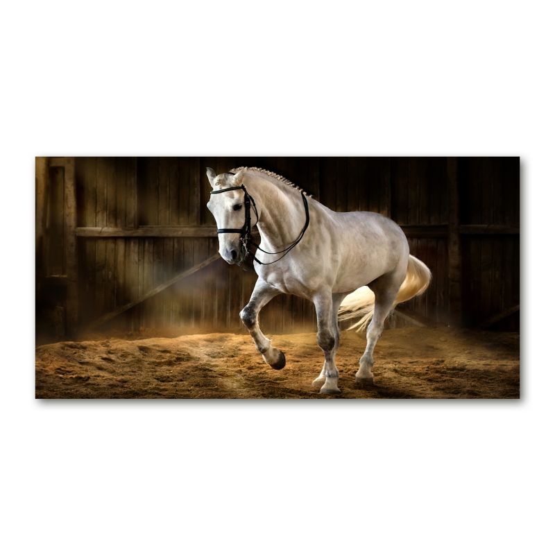 Obraz canvas Tulup Siwek w stajni 140x70 cm 1 szt.