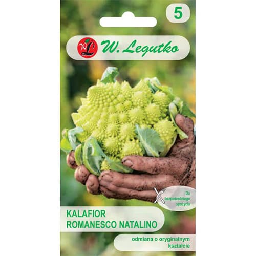 1 szt, Kapusta kalafior Romanesco - Nasiona: Ilość w opakowaniu: 1 g