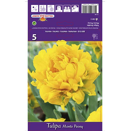 Tulipan pełny Monte Peony - Cebule: Ilość w opakowaniu: 5 szt. - GradinaMax