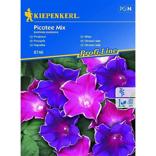 Wilec (Ipomoea) Picotee, mix - Nasiona. Ilość w opakowaniu: 1 opak - GradinaMax