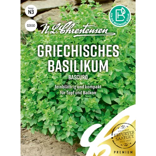 Bazylia grecka Bascuro - Nasiona. Ilość w opakowaniu: 1 opak - GradinaMax
