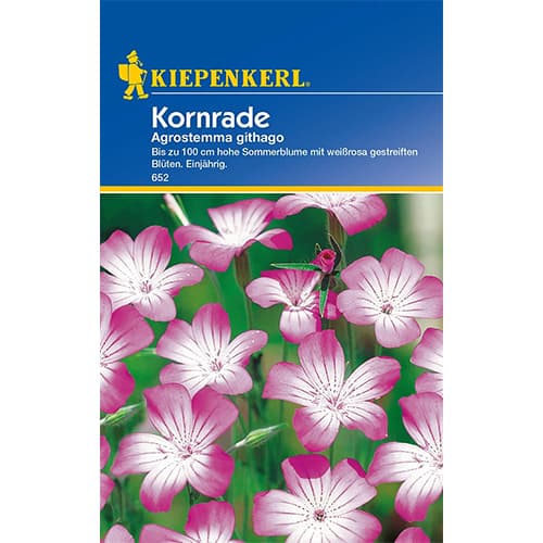 Kąkol polny Kornrade - Nasiona. Ilość w opakowaniu: 1 opak - GradinaMax