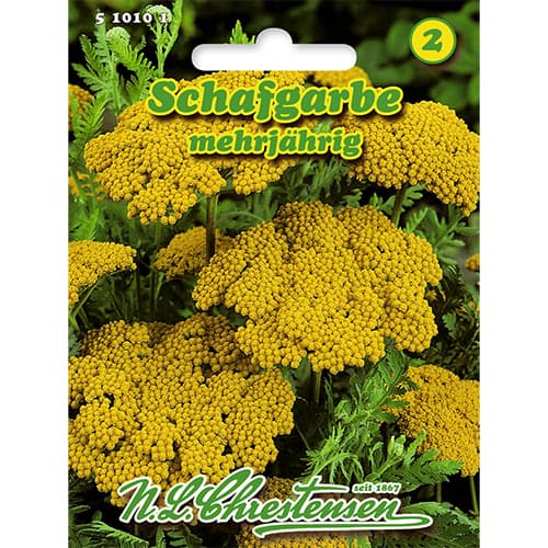 Krwawnik wiązówkowaty (Achillea) - Nasiona. Ilość w opakowaniu: 1 opak - GradinaMax