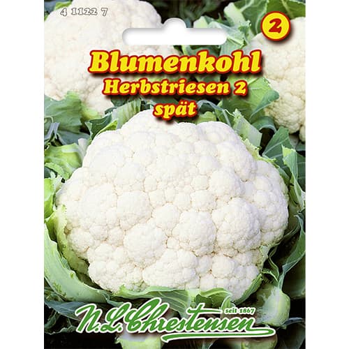 Kalafior Herbstriesen 2 - Nasiona. Ilość w opakowaniu: 1 opak - GradinaMax