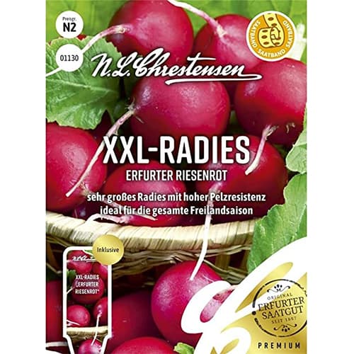 Rzodkiew XXL Erfurter - Nasiona, Ilość w opakowaniu: 1 opak - GradinaMax