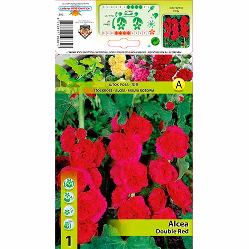 1 buc, Nalbă de grădină (Alcea) Double Red - Bulbi: Mod de ambalare: 1 buc
