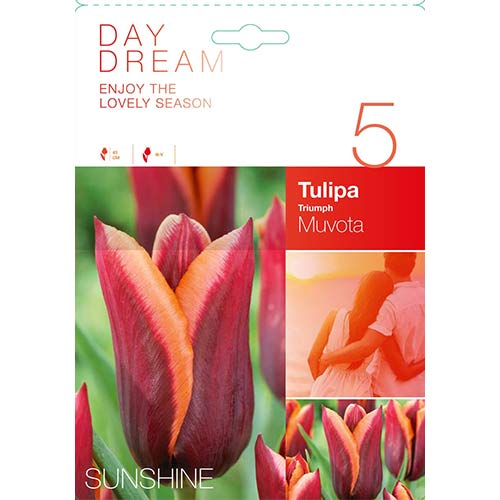 5 db, Tulipán Muvota - Hagymák: Mod de ambalare: 5 db