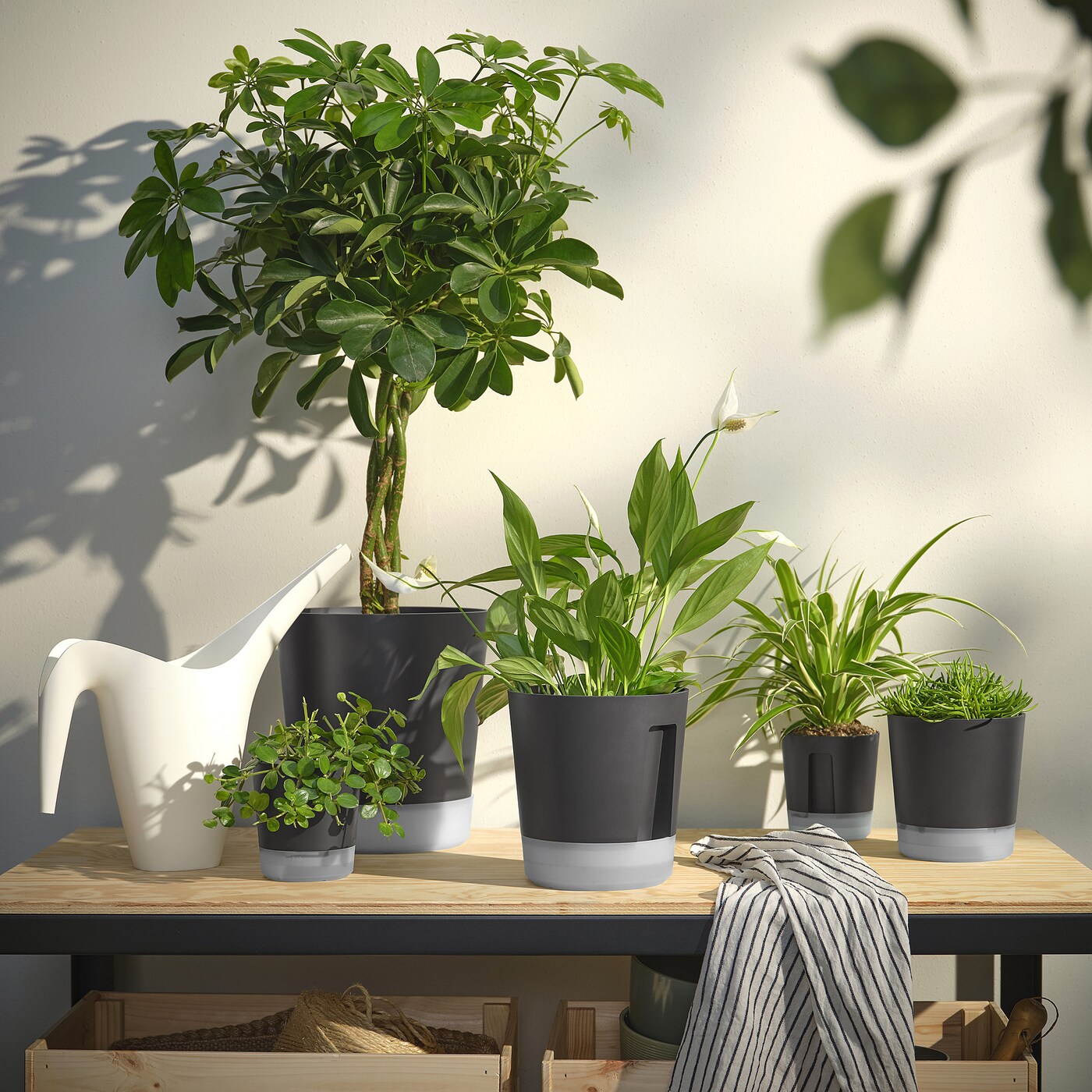 IKEA VÅRDTRÄD doniczka samonawadniająca, do wewnątrz/na zewnątrz przezroczysty/antracyt, 15 cm