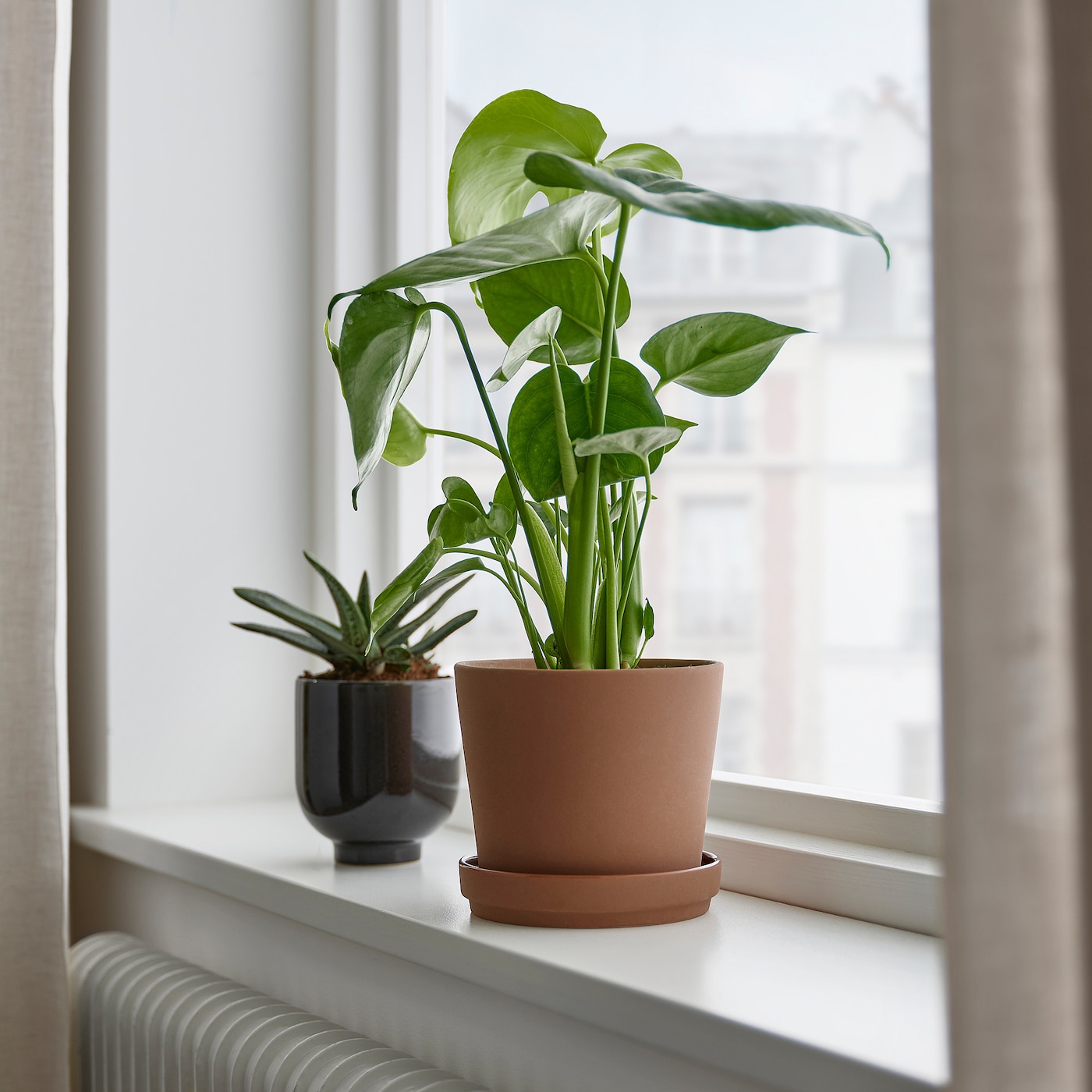 IKEA KLARBÄR doniczka z podstawką, do wewnątrz/na zewnątrz brązowy, 12 cm