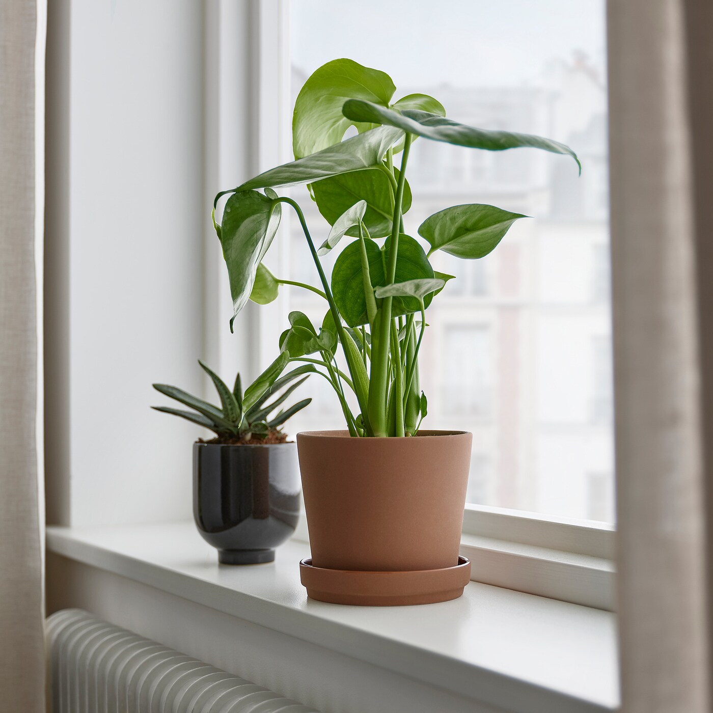 IKEA KLARBÄR doniczka z podstawką, do wewnątrz/na zewnątrz brązowy, 12 cm