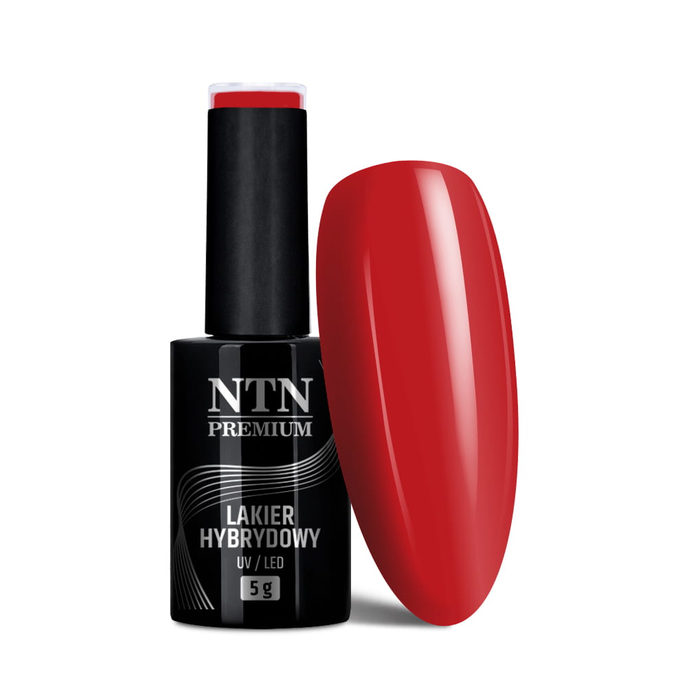 Lakier hybrydowy Ntn Premium Fiesta Collection 5 g Nr 80