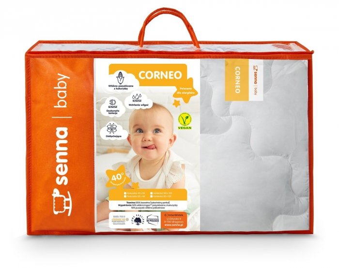 Komplet Inter-Widex CORNEO/INGEO - kołderka 100x135, poduszka 40x60