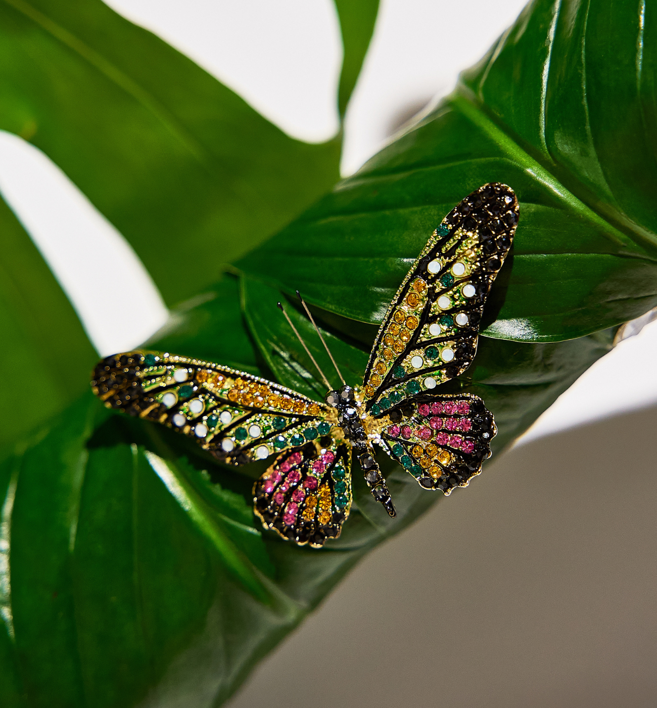 Broszka z kolorowym motylem Papillon II BRPI0014