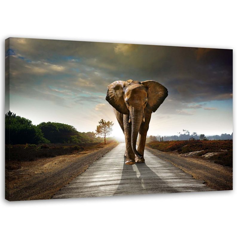 Obraz do salonu nowoczesny Feeby Słoń na drodze Brązowy 120x80cm 1szt