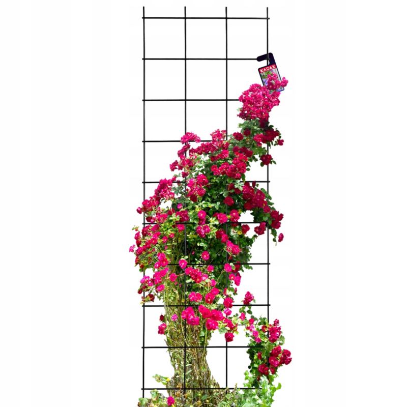 Pergola KADAX Ogrodowa metalowa Podpora Do Roślin Róż Kwiatów Kratka 45x150 1 szt.