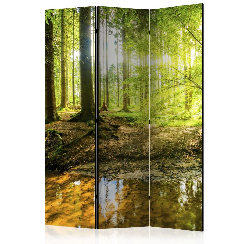 Parawan dwustronny Artgeist Pejzaże 135x172 cm Pejzaże 1 szt