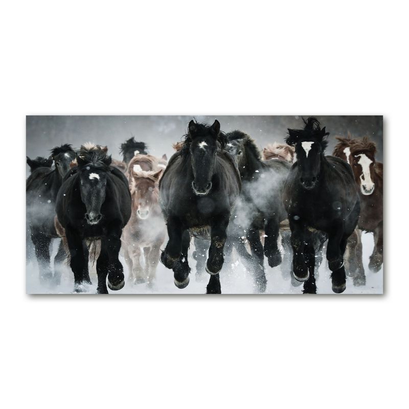 Obraz canvas Tulup Stado koni 100x50 cm 1 szt.