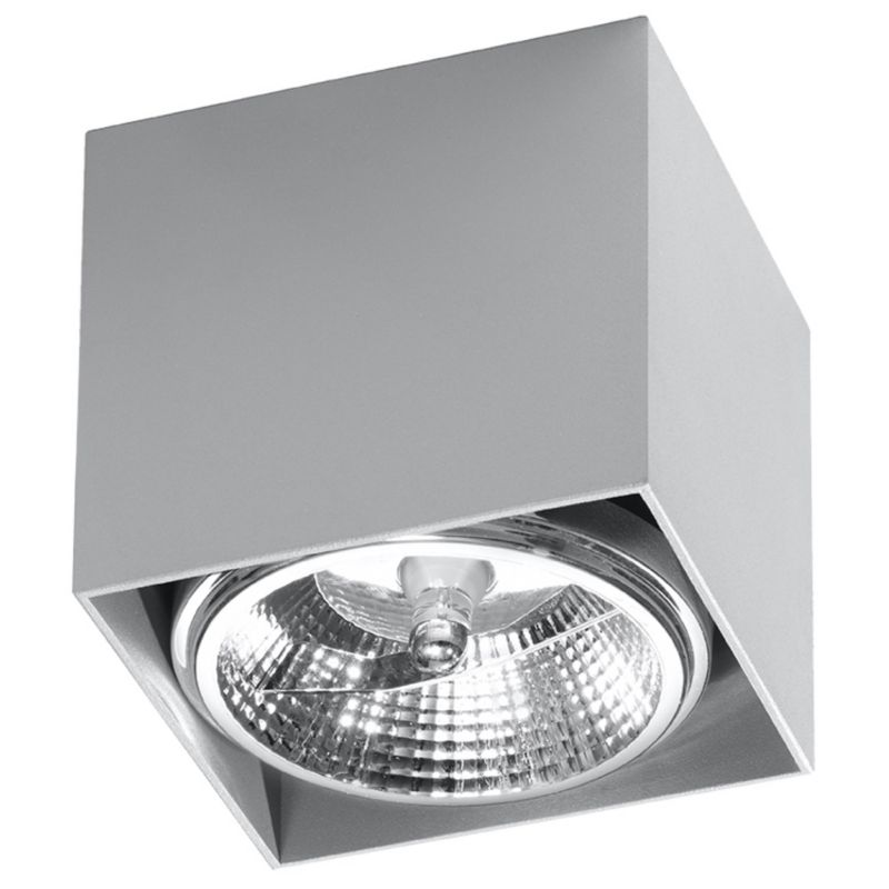 Plafon Sollux Lighting BLAKE szary 1 szt.