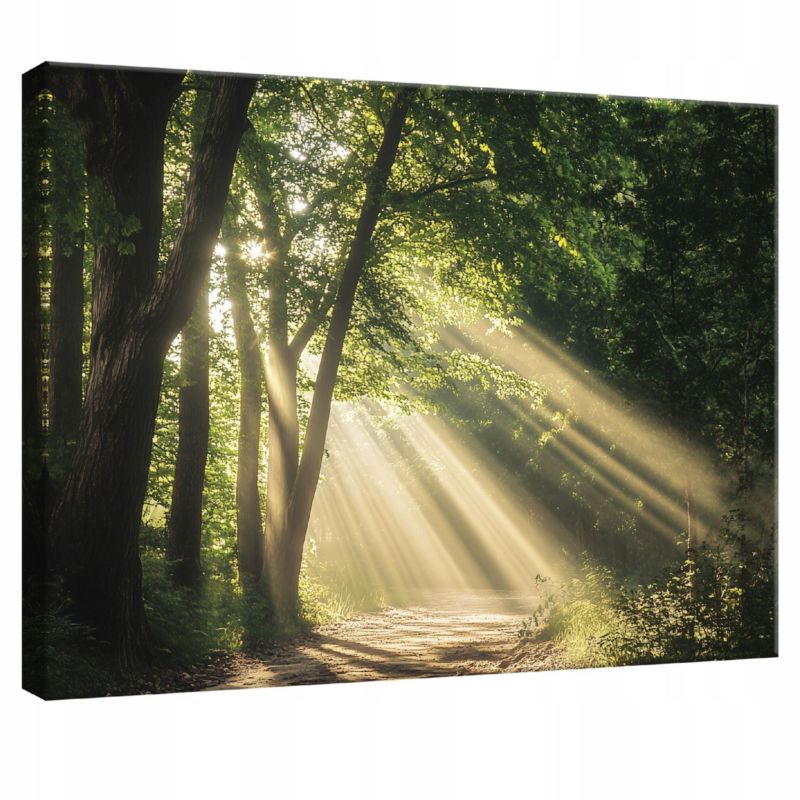 Obraz Na Płótnie WALLARENA 60x40 cm Do Sypialni Salonu Kuchni Las Natura 1 szt.