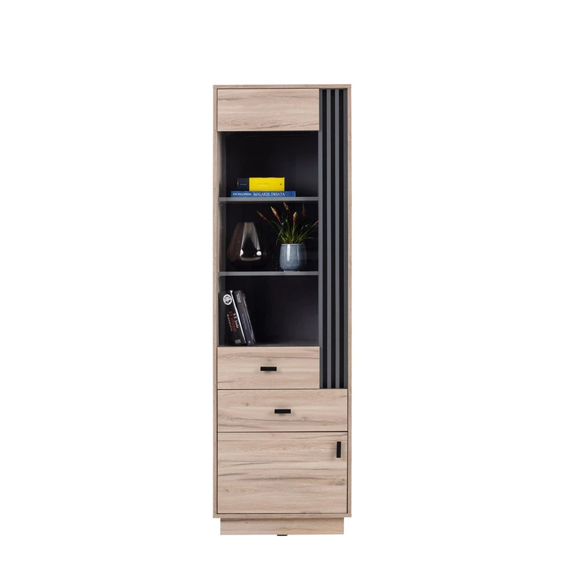 Nowoczesna witryna do salonu 60 cm AGRA