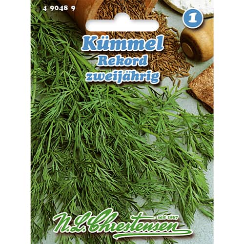 Kminek zwyczajny Rekord - Nasiona. Ilość w opakowaniu: 1 opak - GradinaMax