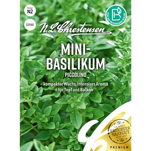 Bazylia miniaturowa Piccolino - Nasiona. Ilość w opakowaniu: 1 opak - GradinaMax