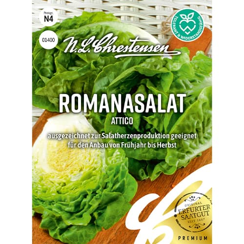 Sałata rzymska Attico - Nasiona. Ilość w opakowaniu: 1 opak - GradinaMax
