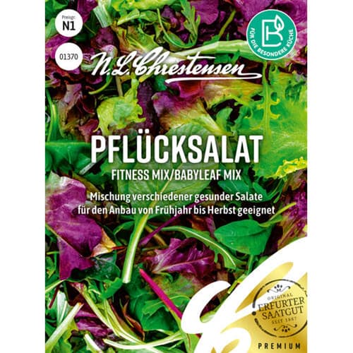 Sałata Fitness, mix - Nasiona. Ilość w opakowaniu: 1 opak - GradinaMax