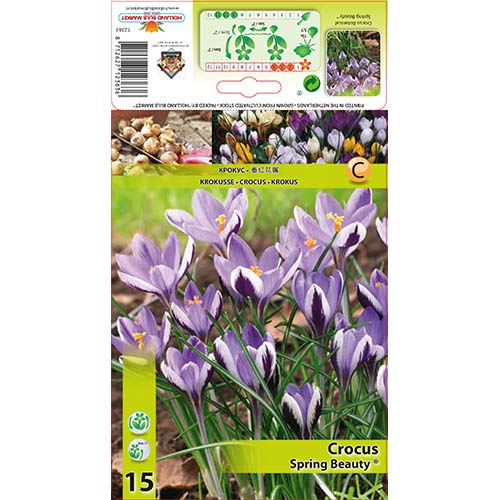 Krokus Spring Beauty - Cebule: Ilość w opakowaniu: 15 szt. - GradinaMax