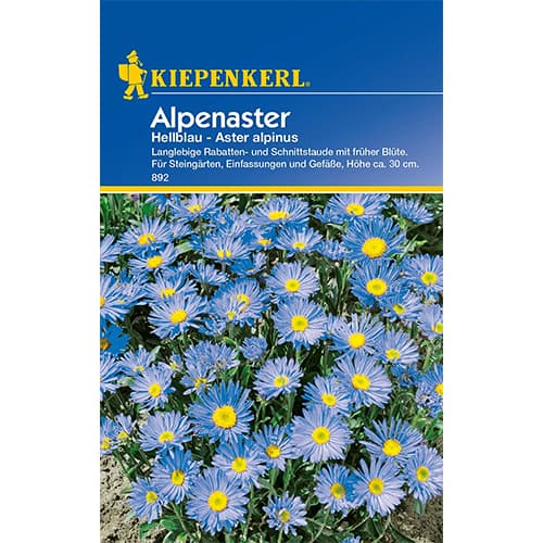 Aster alpejski niebieski - Nasiona. Ilość w opakowaniu: 1 opak - GradinaMax