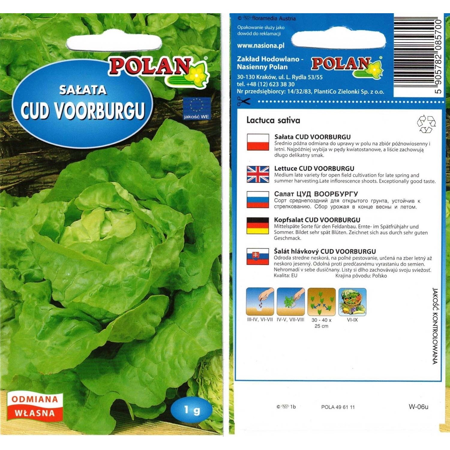 Sałata masłowa Cud Voorburgu - 1 g