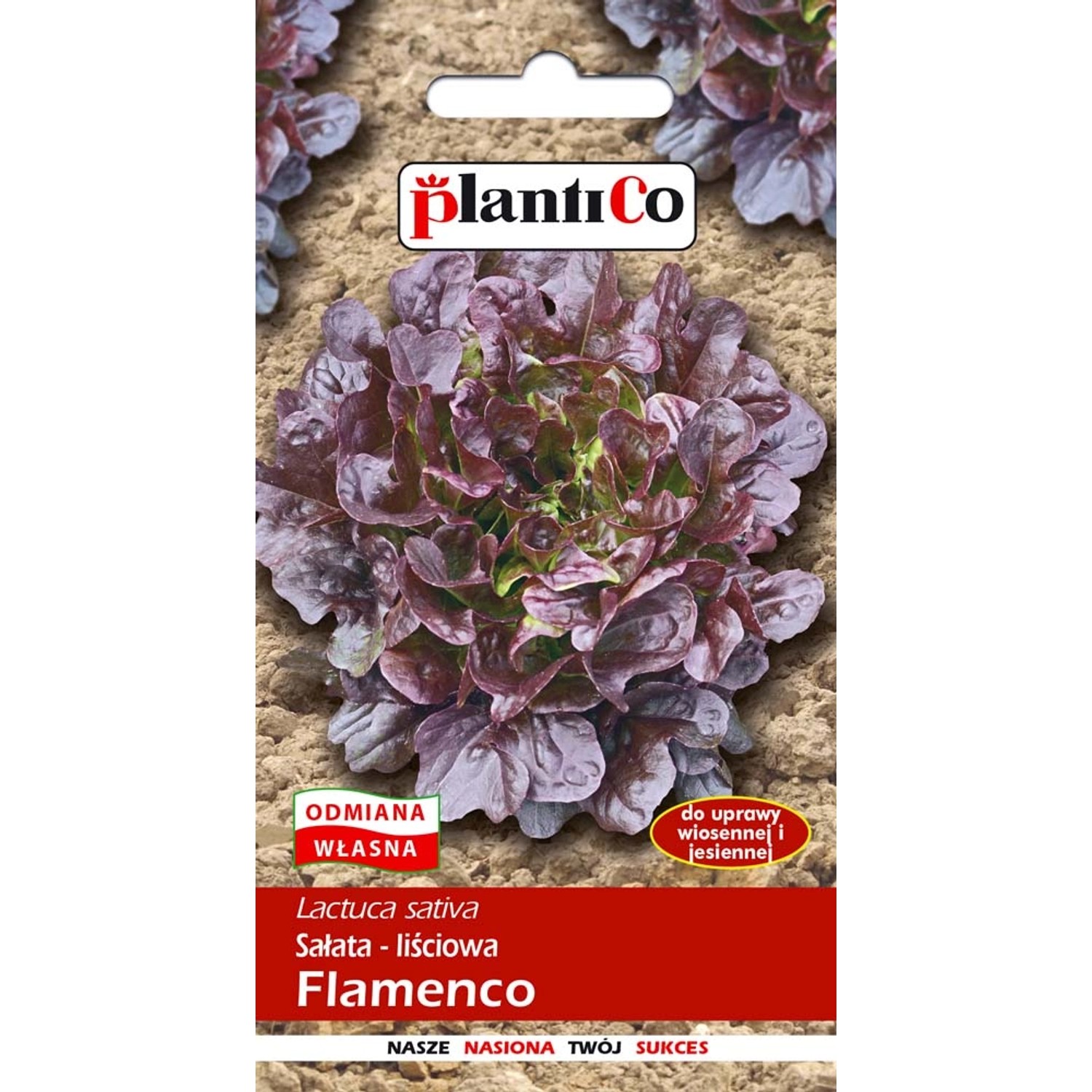 Sałata liściowa Flamenco nasiona - 0,5 g