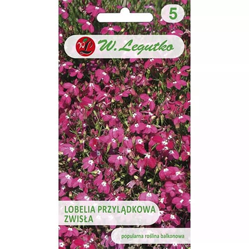 1 pac, Lobelia curgătoare de ghiveci - Semințe: Mod de ambalare: 0.1 g
