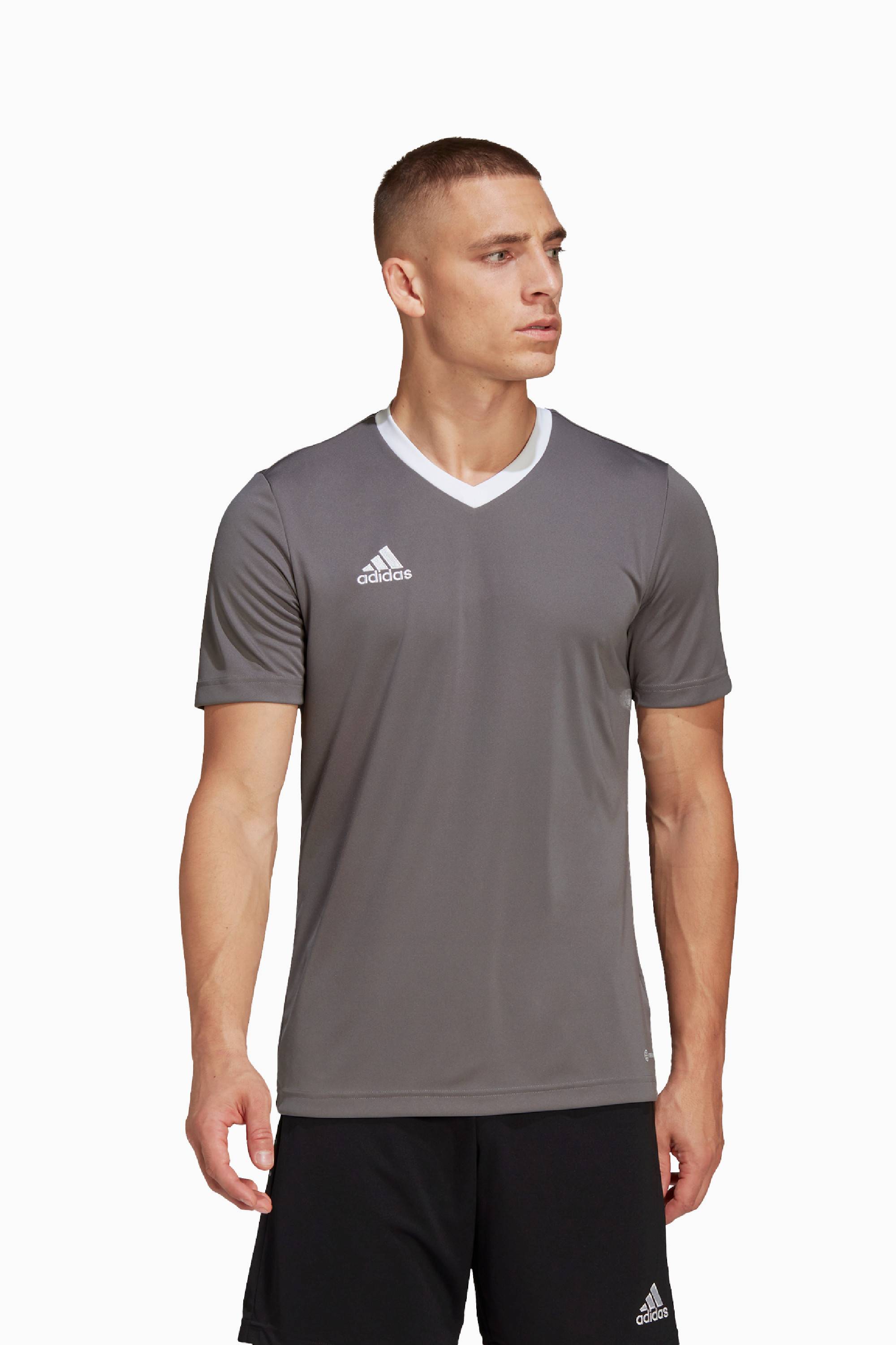 Koszulka adidas Entrada 22 - Szary