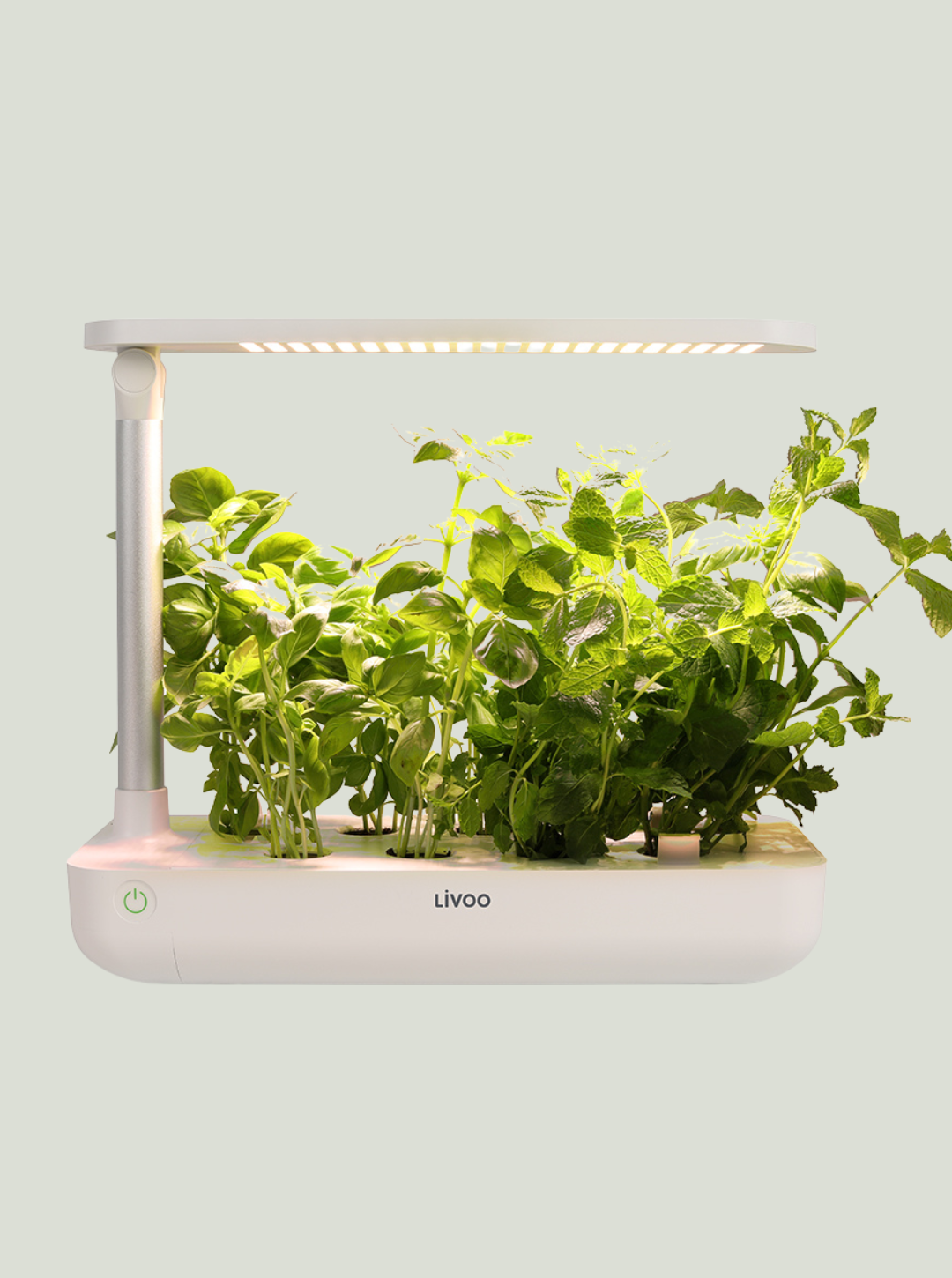 Domowy Mini Ogród - Indoor garden LIVOO