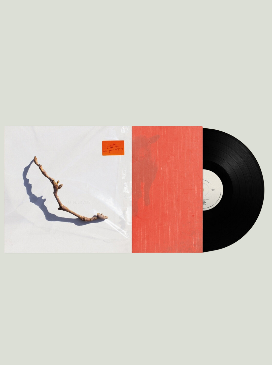 Płyta winylowa PJ Harvey - I Inside The Old Year Dying